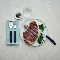 Фото Ніж для стейку Victorinox Swiss Classic Steak 11 см 6.7235.C1