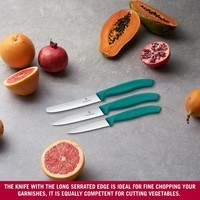 Фото Набір ножів Victorinox Swiss Classic Paring Set 3 шт. 6.7114.34C1